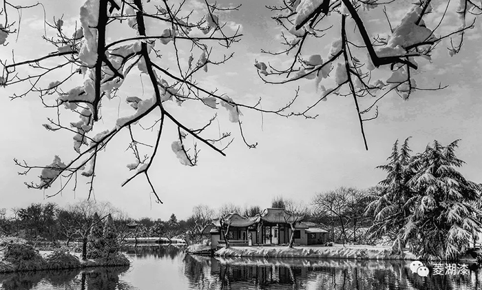 说好的暴雪倾城，是这样吗？